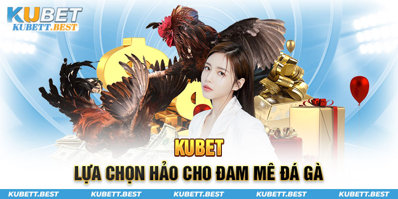 Kubet sự lựa chọn hoàn hảo cho đam mê đá gà